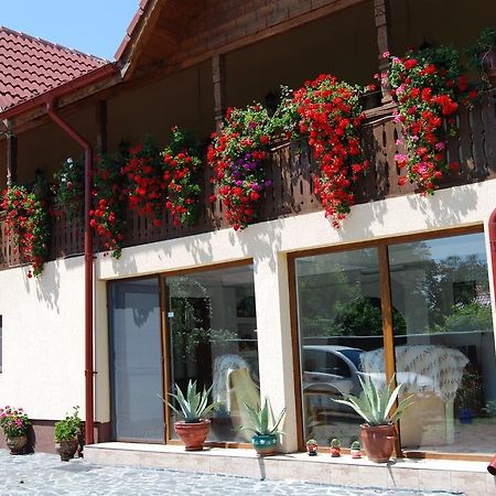 Pensiunea Casa Filoxenia Horezu Exteriér fotografie