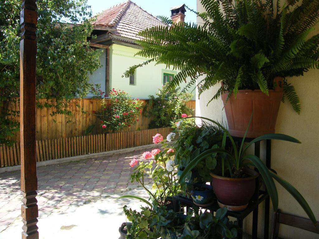 Pensiunea Casa Filoxenia Horezu Exteriér fotografie