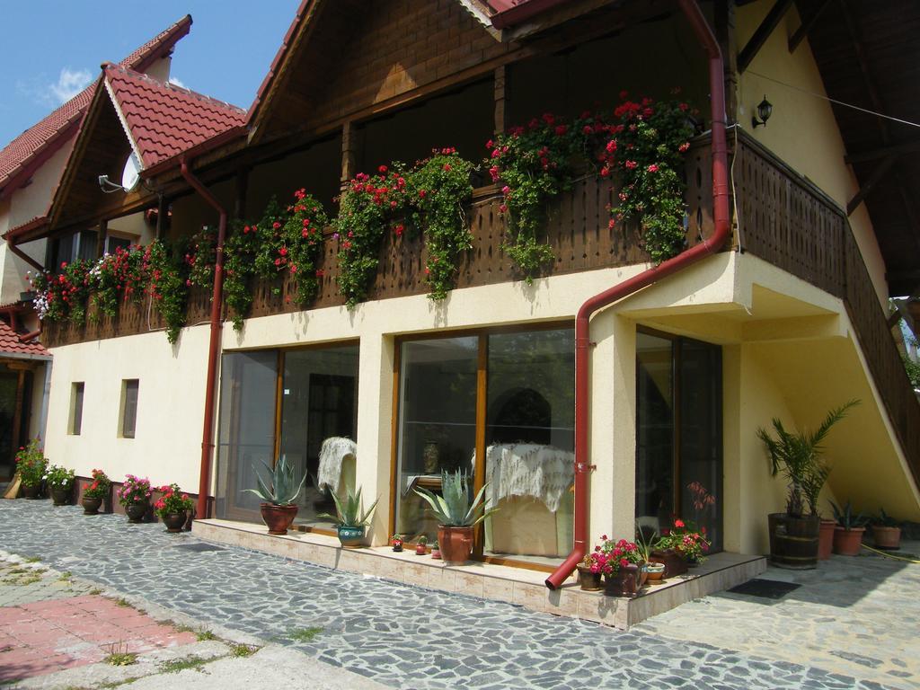 Pensiunea Casa Filoxenia Horezu Exteriér fotografie