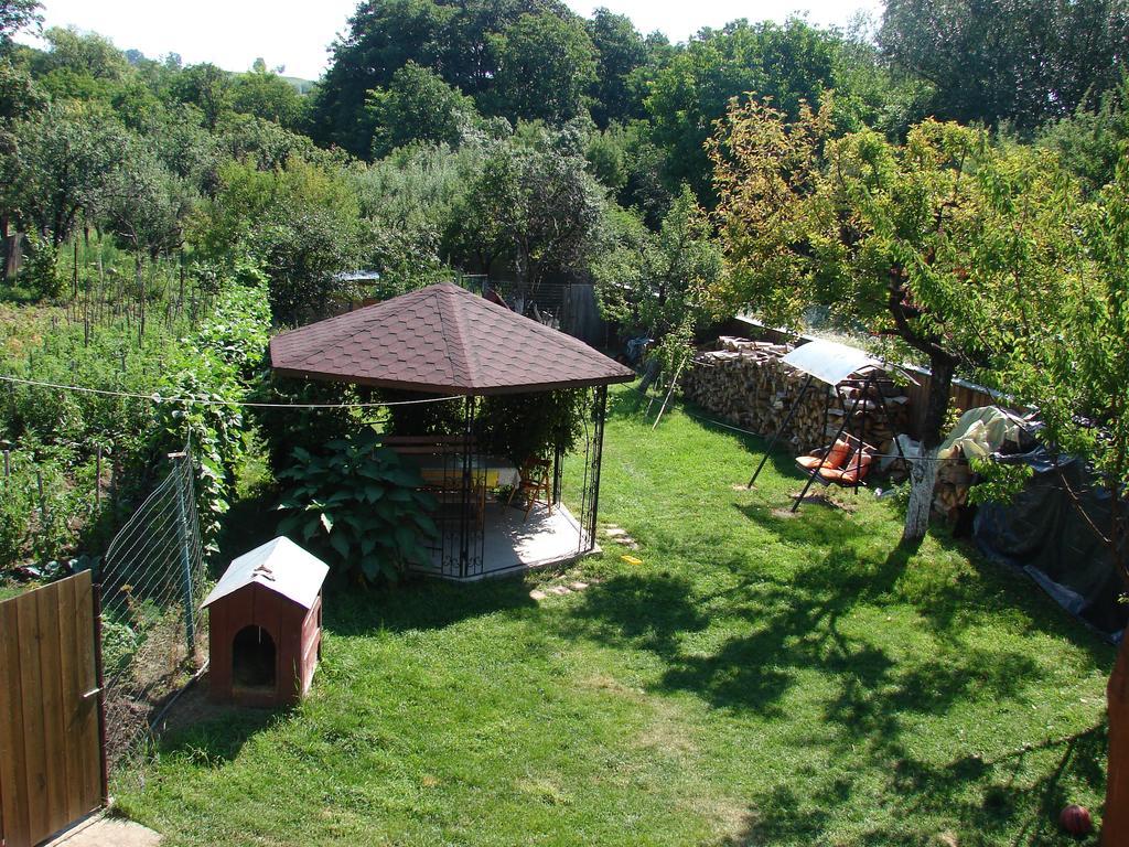 Pensiunea Casa Filoxenia Horezu Exteriér fotografie