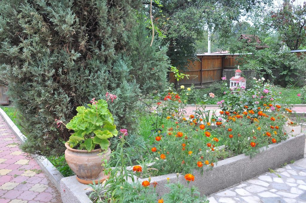 Pensiunea Casa Filoxenia Horezu Exteriér fotografie