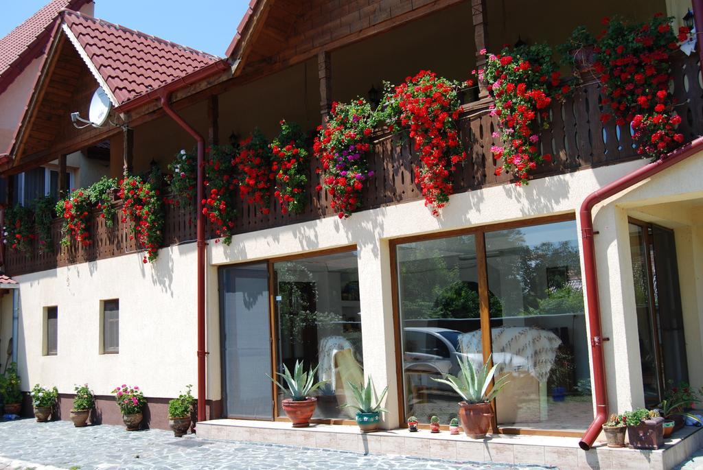 Pensiunea Casa Filoxenia Horezu Exteriér fotografie